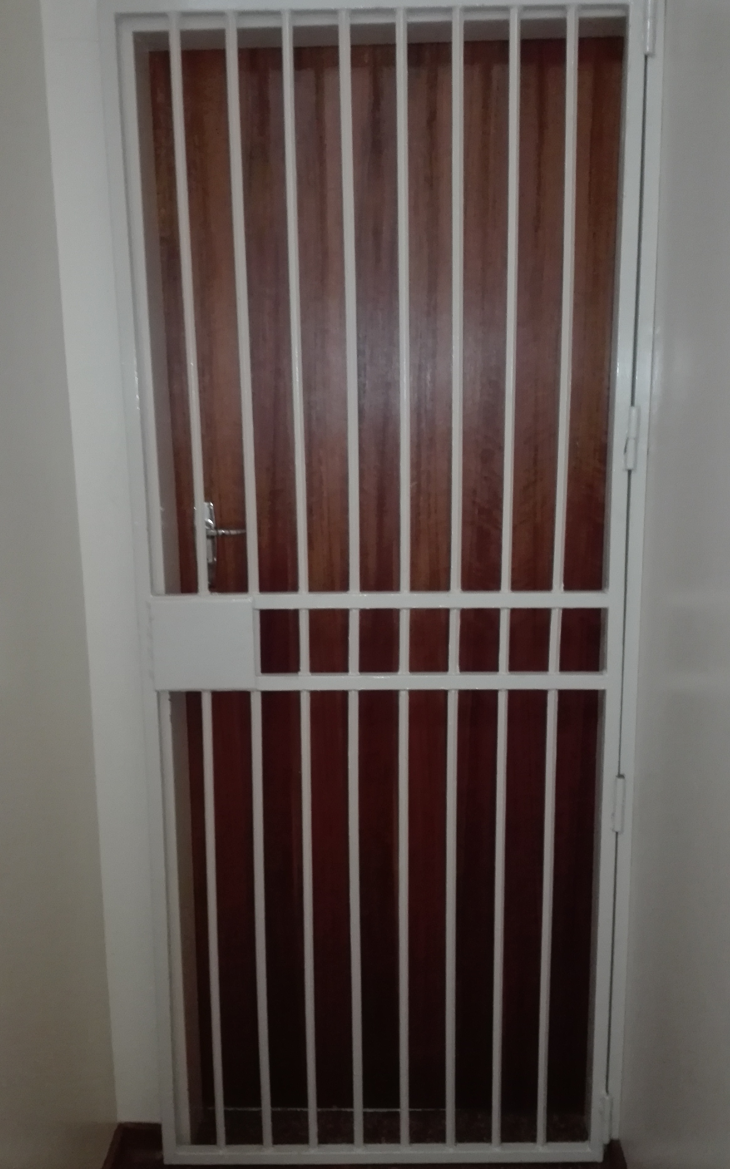 Security door